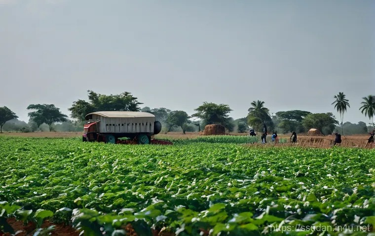 남수단의 미래 전망 - Here are three detailed image prompts in English, designed to be appropriate for a 15-year-old audie...